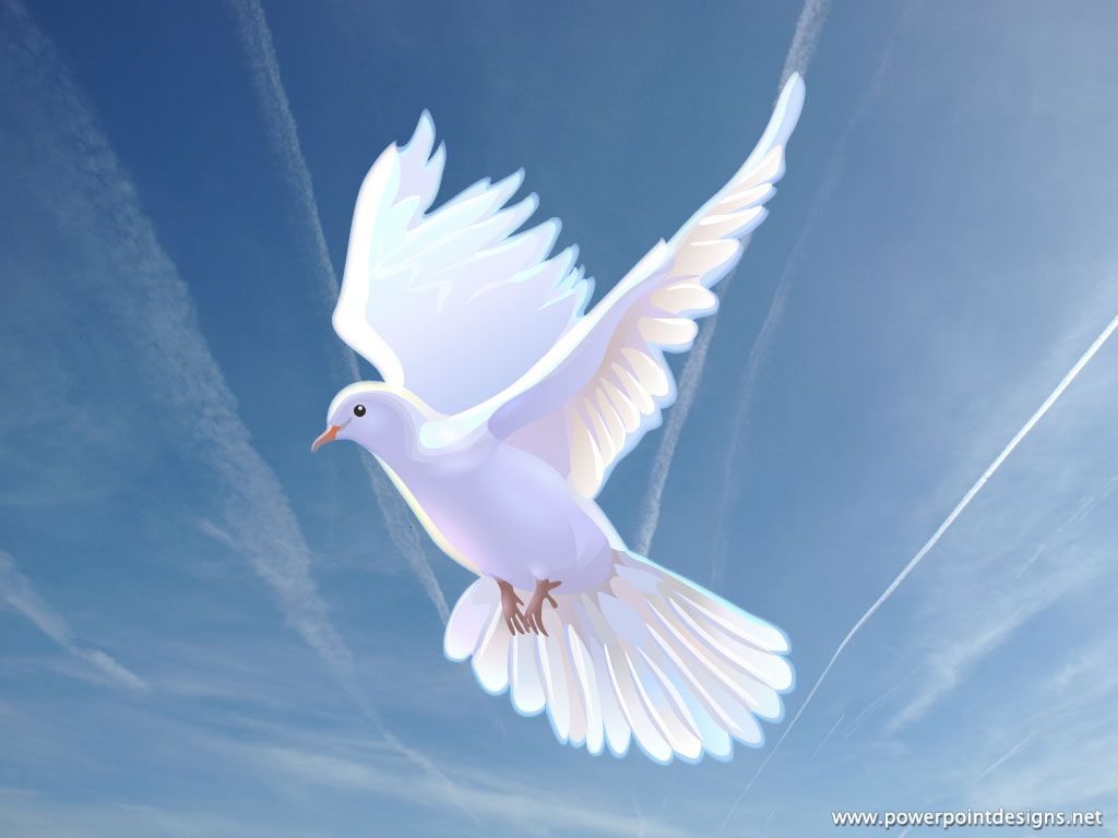 Holy Spirit Dove